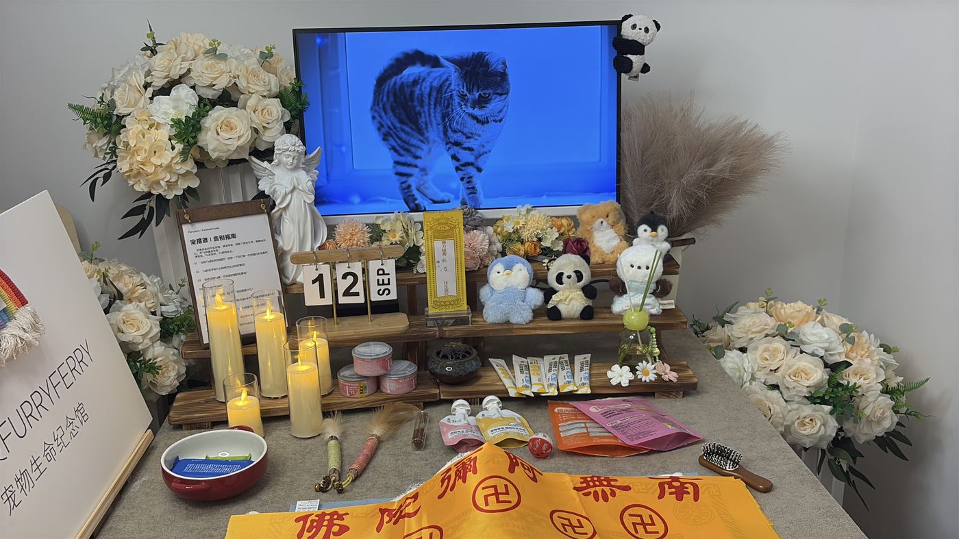哪些东西可以自己带