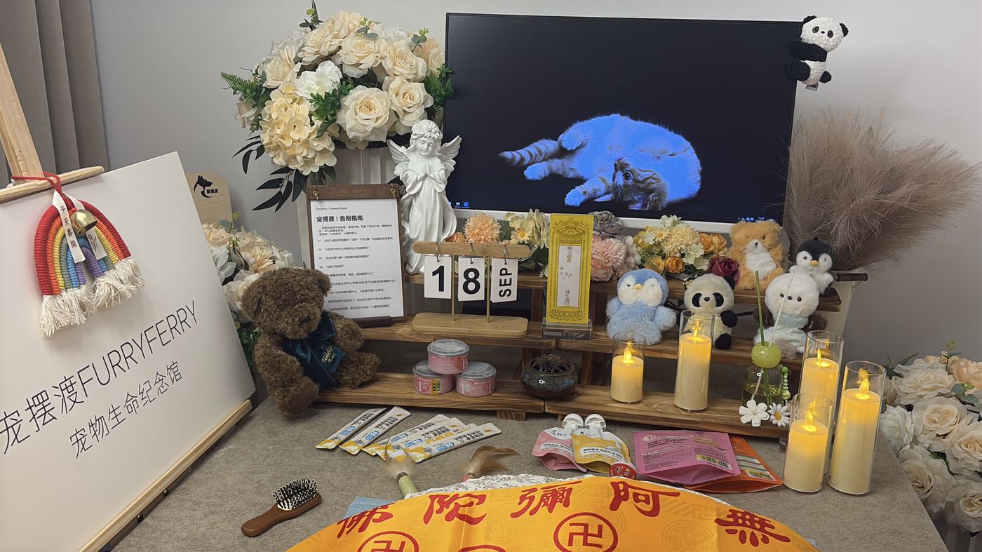 一、六个环节，环环相扣