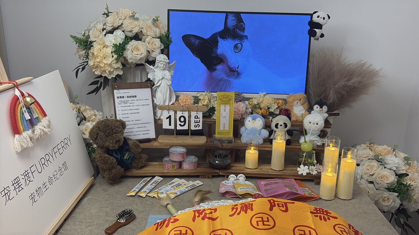 郑州宠物告别厅布置：如何给中原家属一个体面的告别